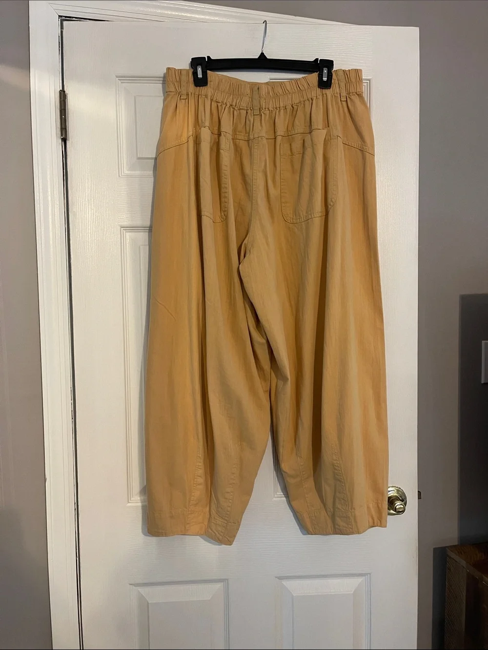 We The Free Wide Leg Pleated Pants - Picture 5 of 5